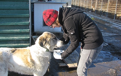 встреча с питомцами